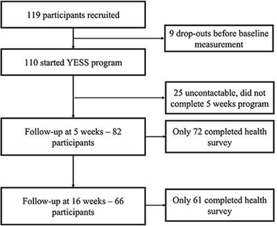 YESS: A feasibility study of a supported employment program for youths with mental health disorders